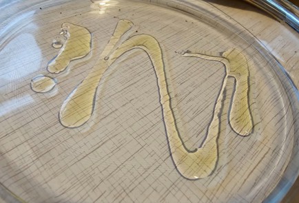 Фото шага рецепта Куриная ножка запеченная в приправе из кайенского перца 175083 шаг 6