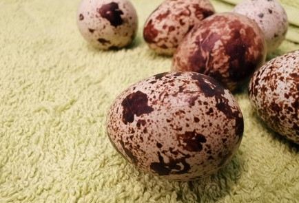 Фото шага рецепта Куриный бульон с яйцом 190738 шаг 7  