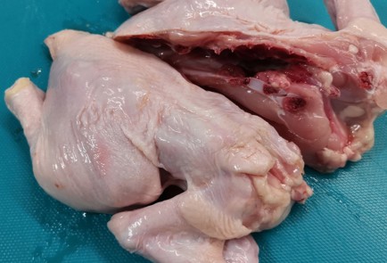 Фото шага рецепта Куриный суп с грибами 175405 шаг 3