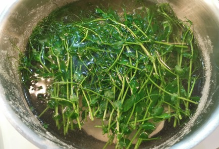 Фото шага рецепта Куриный суп 188777 шаг 10