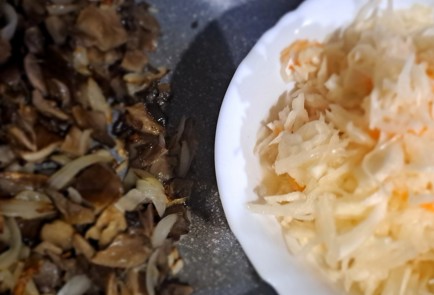 Фото шага рецепта Квашеная капуста жаренная на сковороде с грибами 190822 шаг 8  