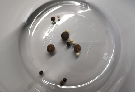 Фото шага рецепта Квашеный лук 191328 шаг 8  