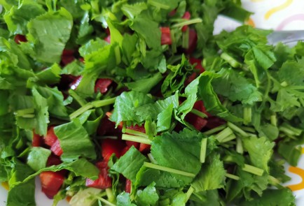 Фото шага рецепта Легкий салат 189185 шаг 5