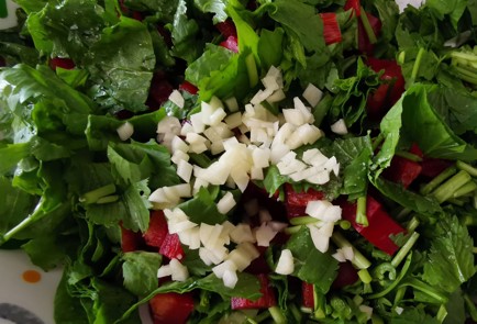 Фото шага рецепта Легкий салат 189185 шаг 6