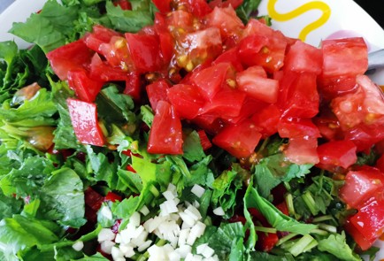 Фото шага рецепта Легкий салат 189185 шаг 7