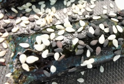 Фото шага рецепта Ленивые роллы без риса 174417 шаг 9