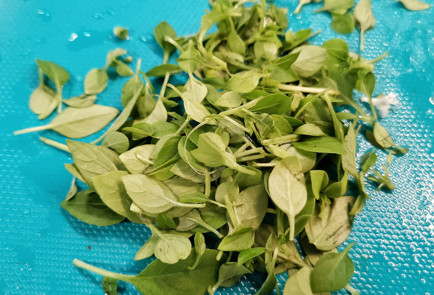 Фото шага рецепта Летний овощной салат с базиликом и ткемали 151520 шаг 10  