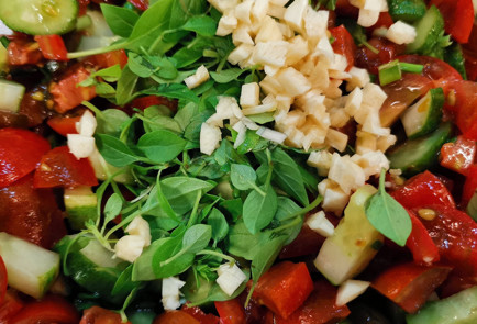 Фото шага рецепта Летний овощной салат с базиликом и ткемали 151520 шаг 13  