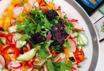 Фото шага рецепта Летний витаминный салат 153086 шаг 10  