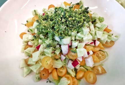 Фото шага рецепта Летний прованский салат 140031 шаг 10  