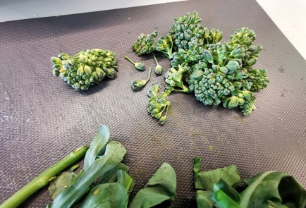 Фото шага рецепта Летний прованский салат 140031 шаг 8  