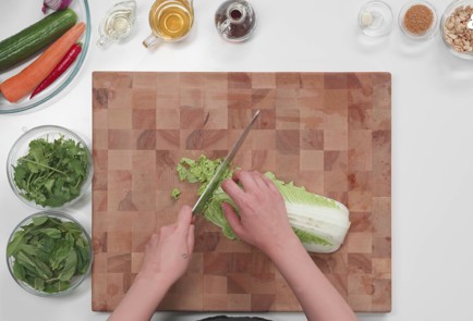 Фото шага рецепта Летний салат с курицей повьетнамски 186426 шаг 3  