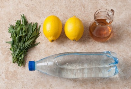 Фото шага рецепта Лимонад с тархуном 35678 шаг 1  