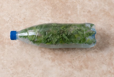 Фото шага рецепта Лимонад с тархуном 35678 шаг 7  