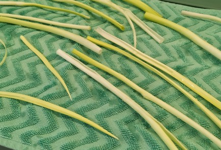 Фото шага рецепта Луковая приправа Царская 152578 шаг 1  