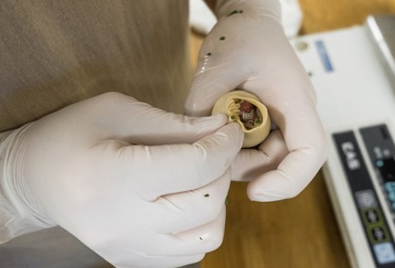 Фото шага рецепта Манты с телятиной 138573 шаг 10  