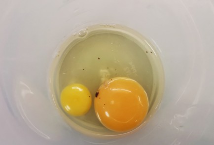 Фото шага рецепта Майонез с маслом расторопши 153019 шаг 2