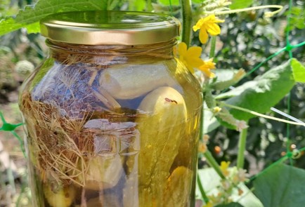 Фото шага рецепта Маринованные огурцы на зиму без стерилизации 186693 шаг 14  