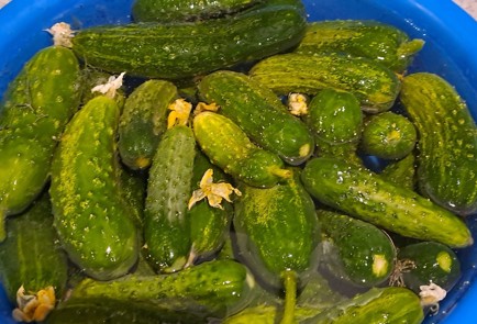 Фото шага рецепта Маринованные огурцы на зиму без стерилизации 186693 шаг 3  