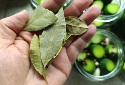 Фото шага рецепта Маринованные огурцы на зиму 190695 шаг 12  