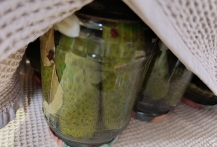 Фото шага рецепта Маринованные огурцы на зиму 190695 шаг 18  