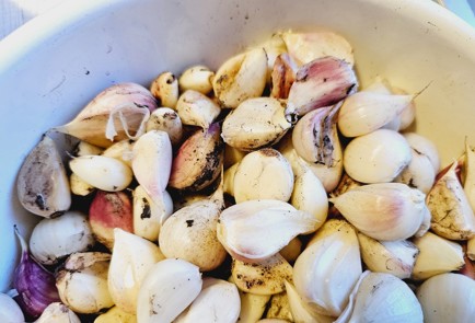 Фото шага рецепта Маринованные зубчики чеснока 187045 шаг 1  