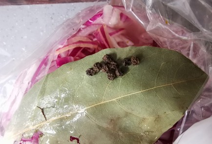 Фото шага рецепта Маринованный лук для шашлыка 189472 шаг 7  