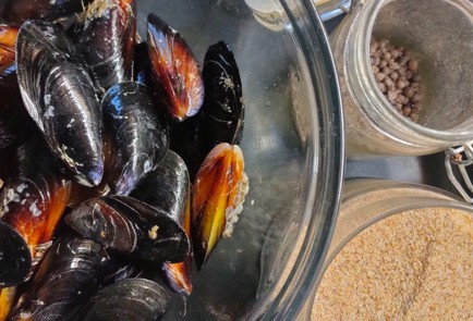 Фото шага рецепта Мидии жаренные на огне 189129 шаг 1  