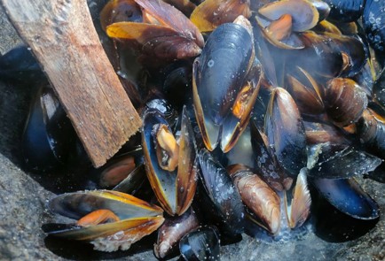 Фото шага рецепта Мидии жаренные на огне 189129 шаг 10  