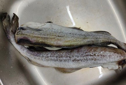 Фото шага рецепта Минтай с луком на сковороде 175625 шаг 1  