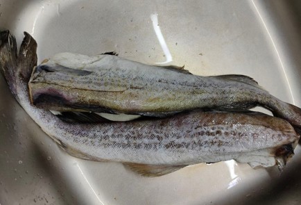 Фото шага рецепта Минтай с морковью 175632 шаг 1  