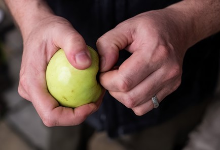 Фото шага рецепта Моченые яблоки с вишневыми листьями 138701 шаг 2