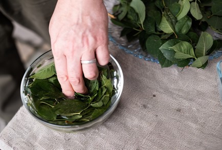 Фото шага рецепта Моченые яблоки с вишневыми листьями 138701 шаг 3