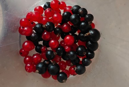 Фото шага рецепта Молочный коктейль в домашних условиях 189900 шаг 2  