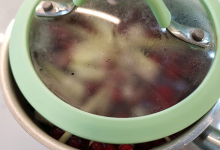 Фото шага рецепта Морс из клюквы и калины с лемонграссом 151765 шаг 6  