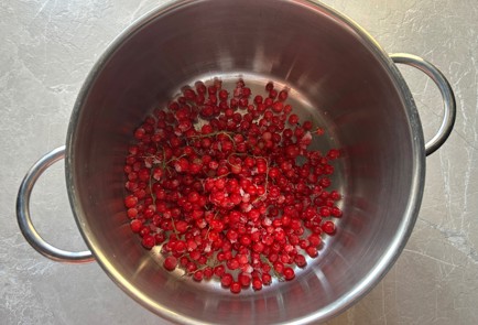 Фото шага рецепта Морс 190546 шаг 2  