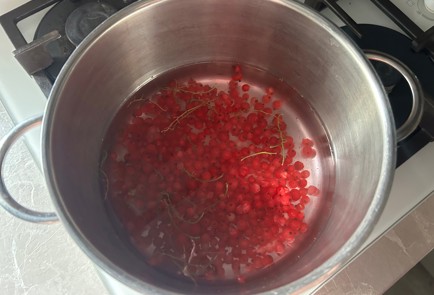 Фото шага рецепта Морс 190546 шаг 7  