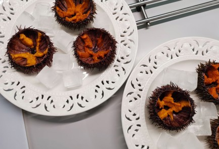 Фото шага рецепта Морские ежи 190629 шаг 3  