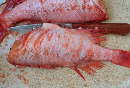 Фото шага рецепта Морской окунь в духовке 189705 шаг 2  