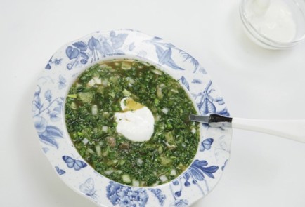 Фото шага рецепта Мясная окрошка Вильяма Похлебкина 69161 шаг 10