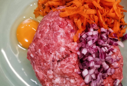 Фото шага рецепта Мясной пирог с сыром и помидорами 151956 шаг 1  