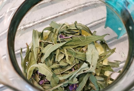 Фото шага рецепта Мятноимбирный чай мате 152369 шаг 2  