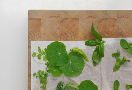 Фото шага рецепта Настойка на настурции базилике и кейле 152683 шаг 2  