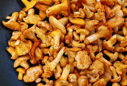 Фото шага рецепта Нежные сливочносырные лисички с вялеными томатами 152647 шаг 2  