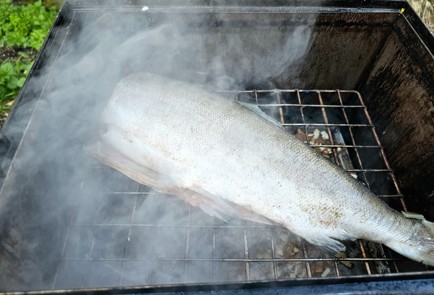 Фото шага рецепта Нерка горячего копчения 189205 шаг 8  