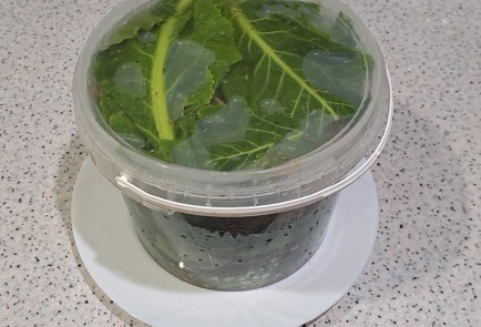 Фото шага рецепта Огурцы малосольные в ведре 186959 шаг 10  