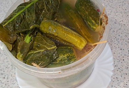 Фото шага рецепта Огурцы малосольные в ведре 186959 шаг 11  