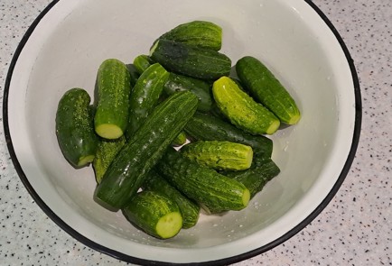 Фото шага рецепта Огурцы малосольные в ведре 186959 шаг 2  