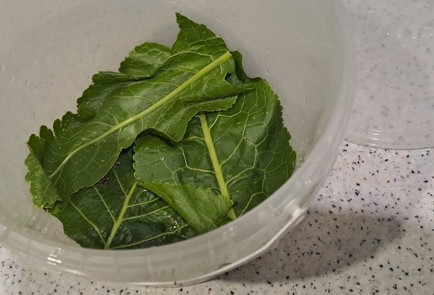 Фото шага рецепта Огурцы малосольные в ведре 186959 шаг 3  