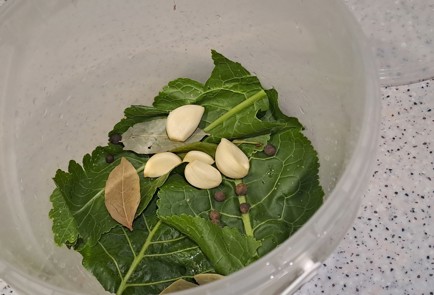 Фото шага рецепта Огурцы малосольные в ведре 186959 шаг 4  